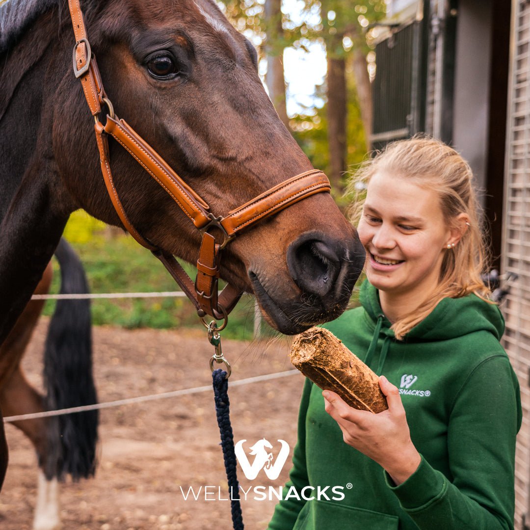 Wellysticks Pure I Die Belohnung für dein Pferd I online bestellen